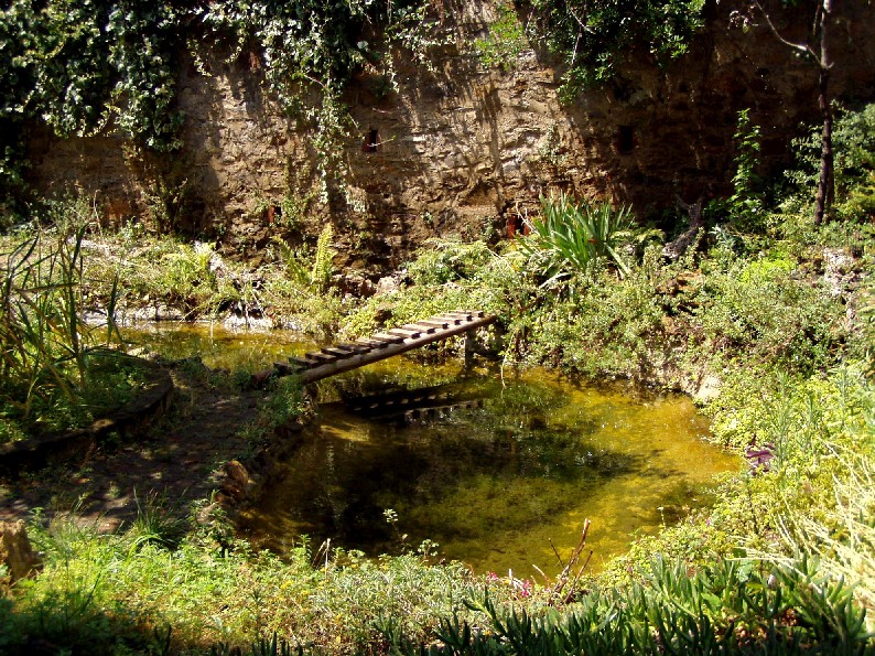 Il Laghetto del Centro di Entomologia - Piombino (LI)